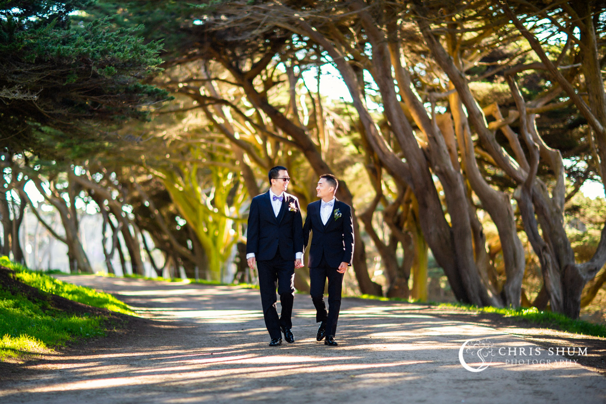 San_Francisco_wedding_photographer_SF_CityHall_WedElopeStory_48